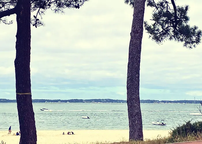 Aux Pieds Des Plages, Du Port, De La Piste Cyclable Et Des Commerces De Proximite, Un Au Dernier Etage Avec Vue Panoramique Sur Le Bassin D'arcachon, Entierement Renove, Dans Avec Piscine *