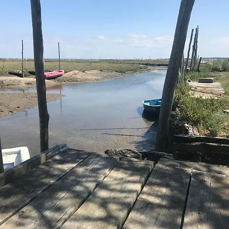 Apartment Aux Pieds Des Plages, Du Port, De La Piste Cyclable Et Des Commerces De Proximite, Un Au Dernier Etage Avec Vue Panoramique Sur Le Bassin D'arcachon, Entierement Renove, Dans Avec Piscine *