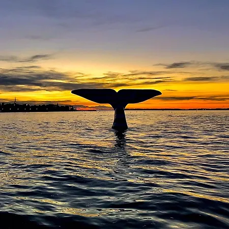 Aux Pieds Des Plages, Du Port, De La Piste Cyclable Et Des Commerces De Proximite, Un Au Dernier Etage Avec Vue Panoramique Sur Le Bassin D'arcachon, Entierement Renove, Dans Avec Piscine Аркашон