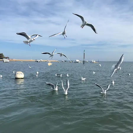 Aux Pieds Des Plages, Du Port, De La Piste Cyclable Et Des Commerces De Proximite, Un Au Dernier Etage Avec Vue Panoramique Sur Le Bassin D'arcachon, Entierement Renove, Dans Avec Piscine Apartment *