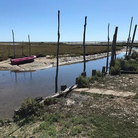 Aux Pieds Des Plages, Du Port, De La Piste Cyclable Et Des Commerces De Proximite, Un Au Dernier Etage Avec Vue Panoramique Sur Le Bassin D'arcachon, Entierement Renove, Dans Avec Piscine Апартаменти