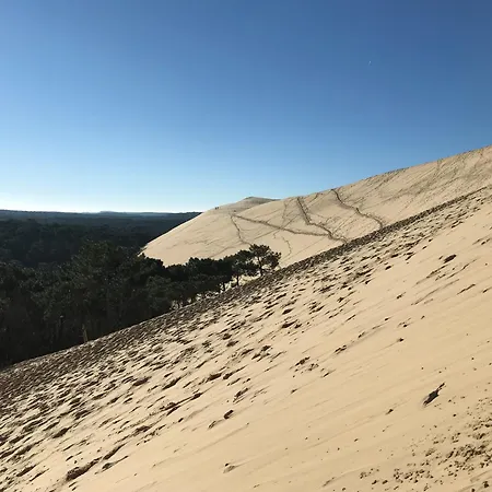 Aux Pieds Des Plages, Du Port, De La Piste Cyclable Et Des Commerces De Proximite, Un Au Dernier Etage Avec Vue Panoramique Sur Le Bassin D'arcachon, Entierement Renove, Dans Avec Piscine Апартаменти