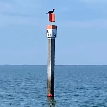 Aux Pieds Des Plages, Du Port, De La Piste Cyclable Et Des Commerces De Proximite, Un Au Dernier Etage Avec Vue Panoramique Sur Le Bassin D'arcachon, Entierement Renove, Dans Avec Piscine