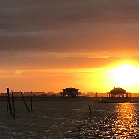 Aux Pieds Des Plages, Du Port, De La Piste Cyclable Et Des Commerces De Proximite, Un Au Dernier Etage Avec Vue Panoramique Sur Le Bassin D'arcachon, Entierement Renove, Dans Avec Piscine *