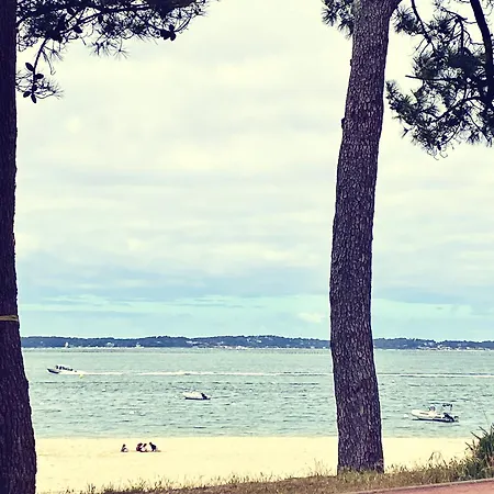 Aux Pieds Des Plages, Du Port, De La Piste Cyclable Et Des Commerces De Proximite, Un Au Dernier Etage Avec Vue Panoramique Sur Le Bassin D'arcachon, Entierement Renove, Dans Avec Piscine *
