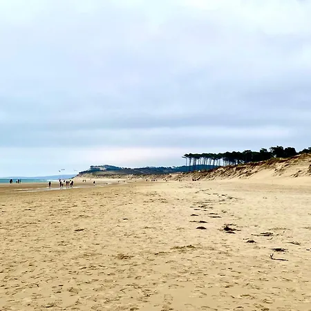 Aux Pieds Des Plages, Du Port, De La Piste Cyclable Et Des Commerces De Proximite, Un Au Dernier Etage Avec Vue Panoramique Sur Le Bassin D'arcachon, Entierement Renove, Dans Avec Piscine Апартаменти *